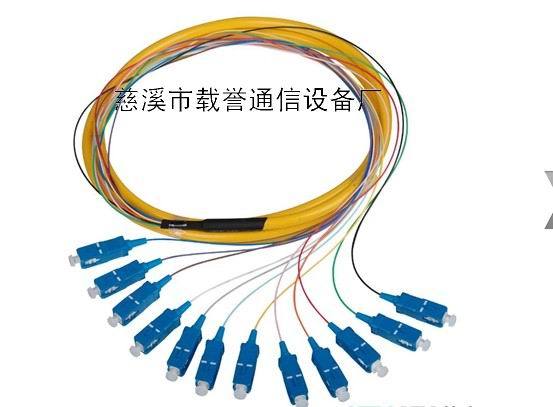 sc-12芯sc束状尾纤-慈溪市载誉通信设备厂